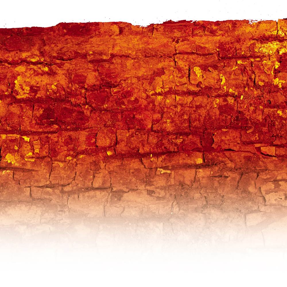 e´corce(bois)-orange 2