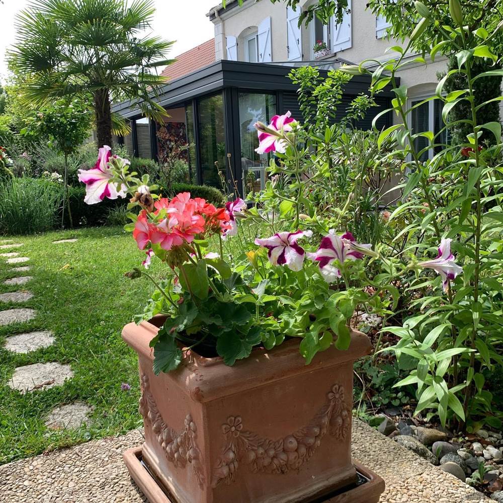 Vue sur jardin chez Les Suites Champenoises-gallery