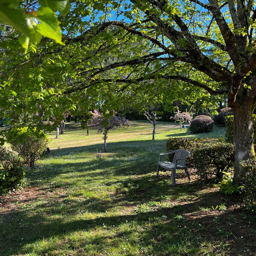 Détente à l'ombre des arbres-presta
