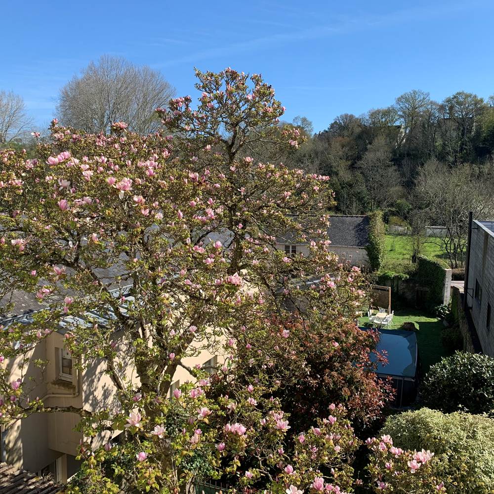 Vue de la chambre 7-presta