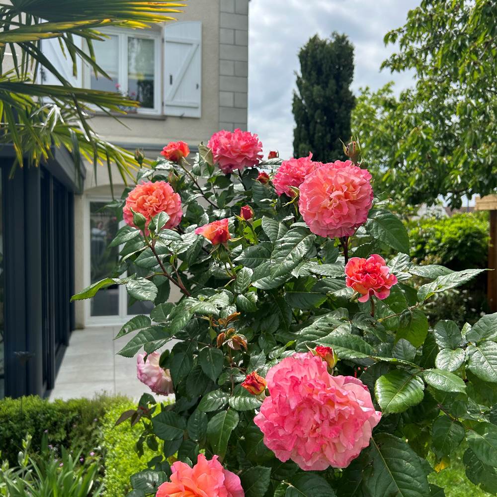 Terrasse  relax dans le jardin-gallery