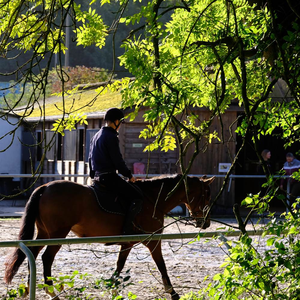 Centre Hippique sortie du village (Copy)-presta
