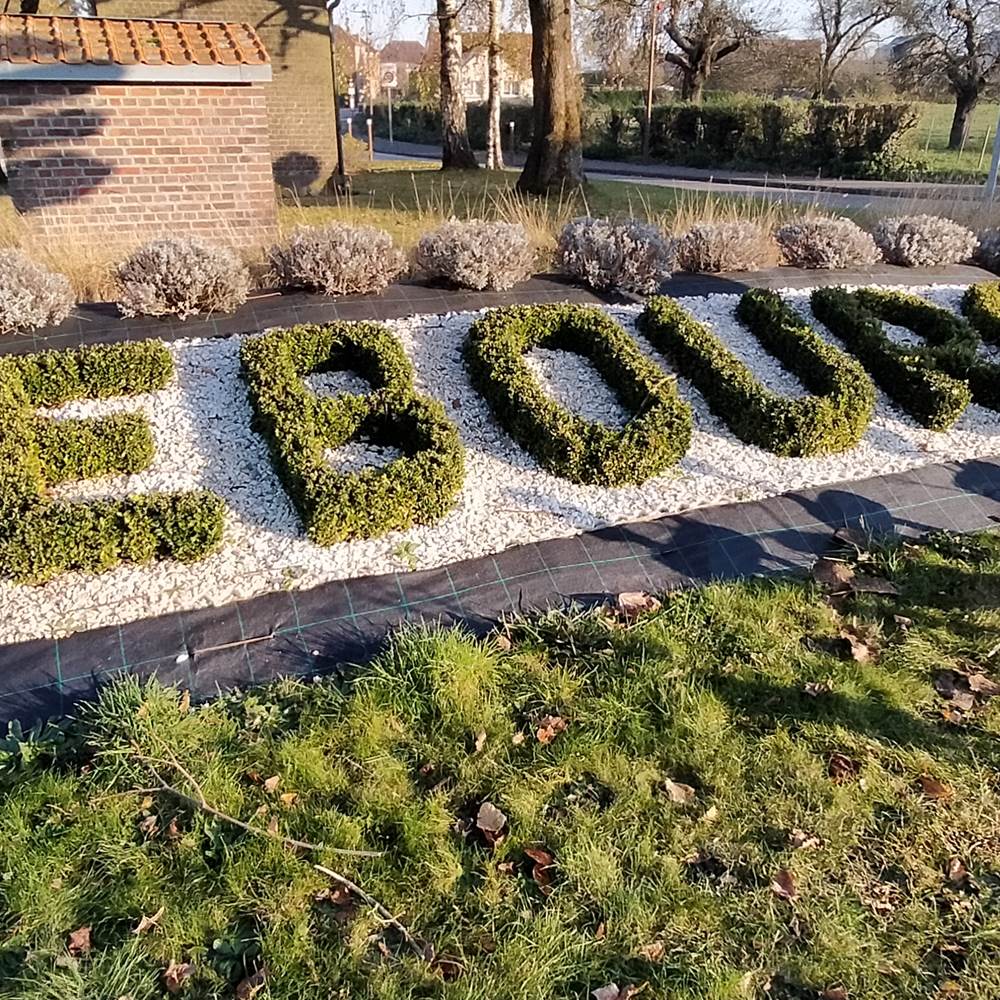 IMG_20231202_161535-gallery