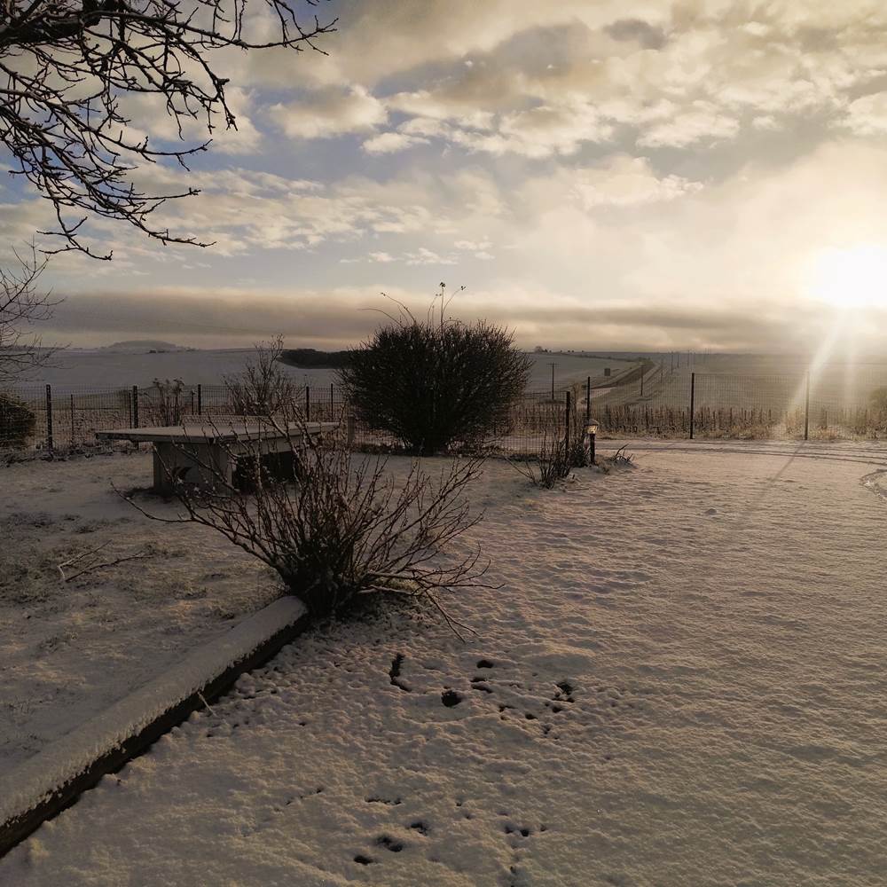 IMG_20260103_091152-presta