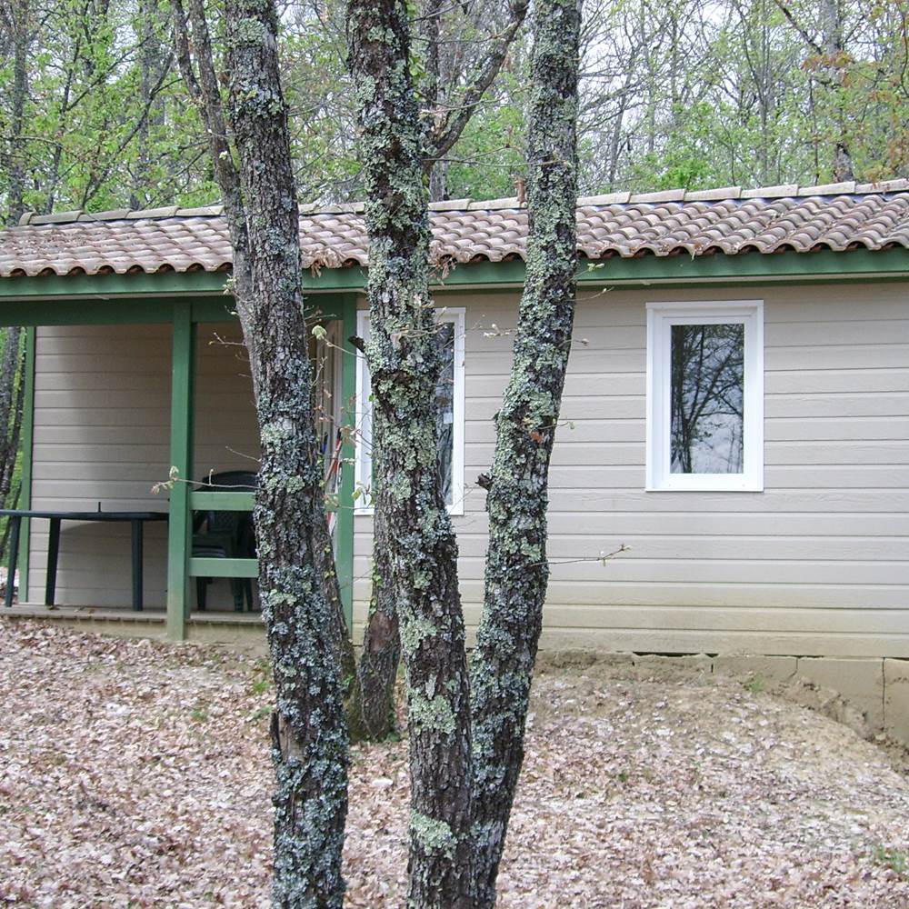 SSA50051-special-offers