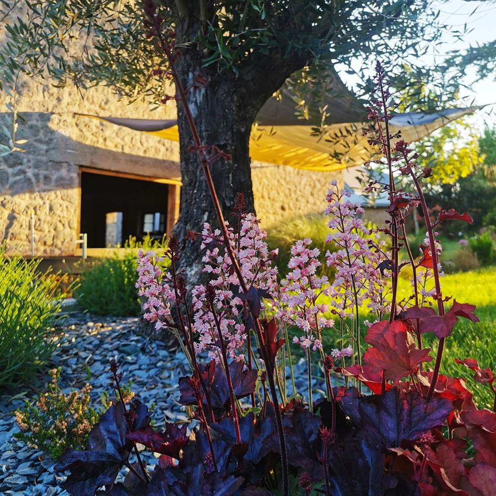 Le jardin arboré entièrement clos-presta