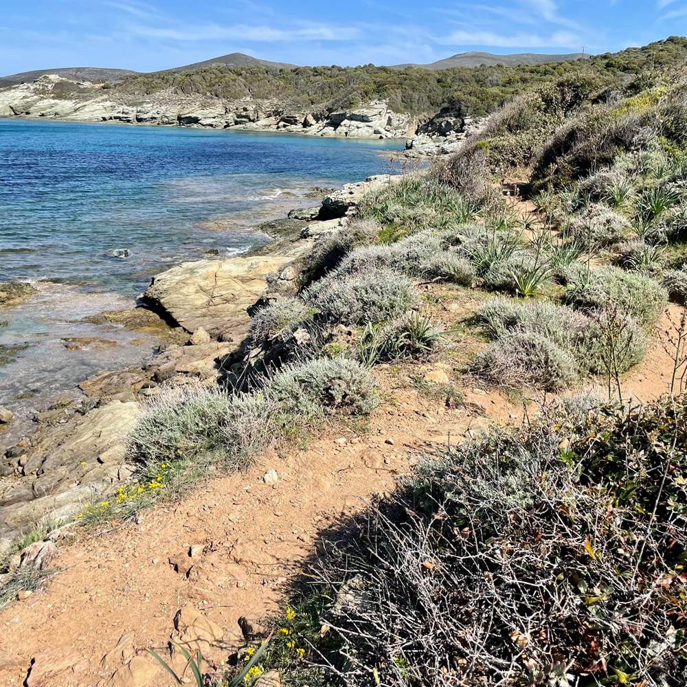 Le sentiers des douaniers Cap Corse-presta