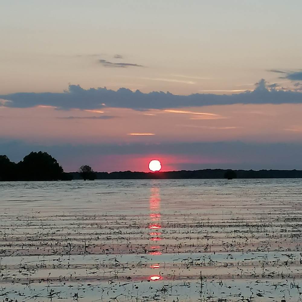 IMG_20200801_211130-presta