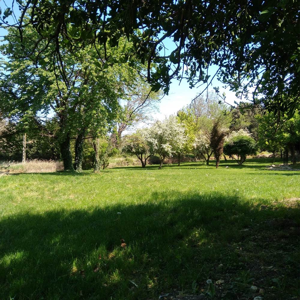 20240415_140421-presta