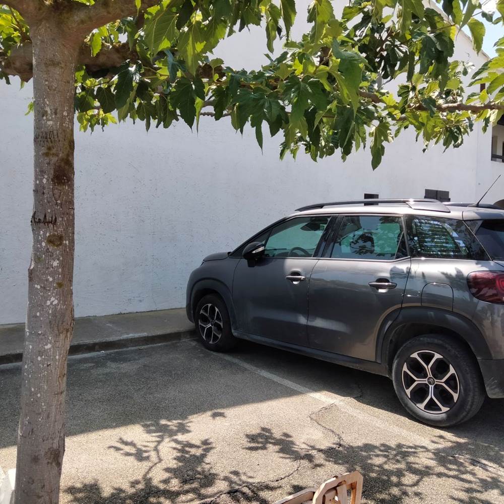 IMG20250810133848-presta