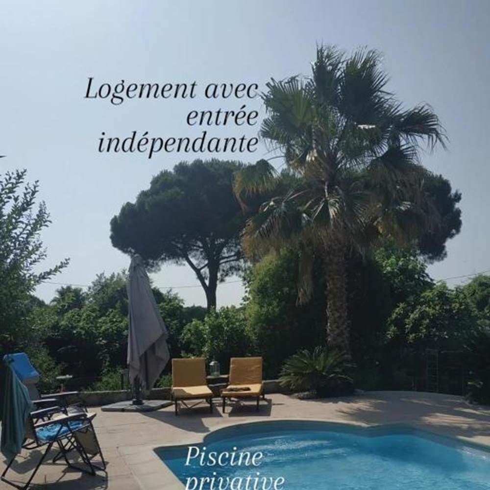 piscine-jardin-la-vie-en-couleurs-var.jpg