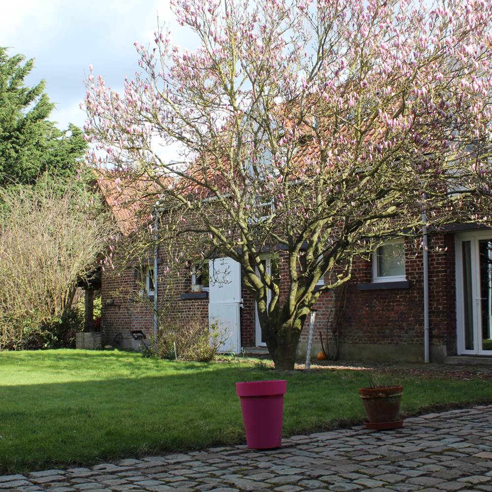 20190318145140_IMG_0912-presta