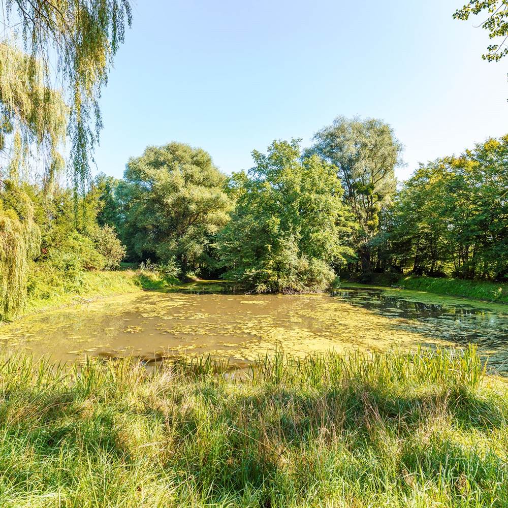 La Martinerie - Mangiennes-gallery