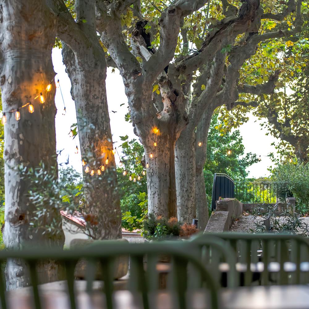 15092025-COL_6424-presta