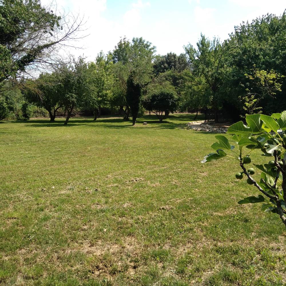 20230607_123852-presta