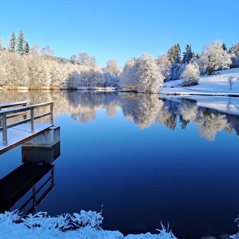 Hiver sur l'étang de la Garenne-presta