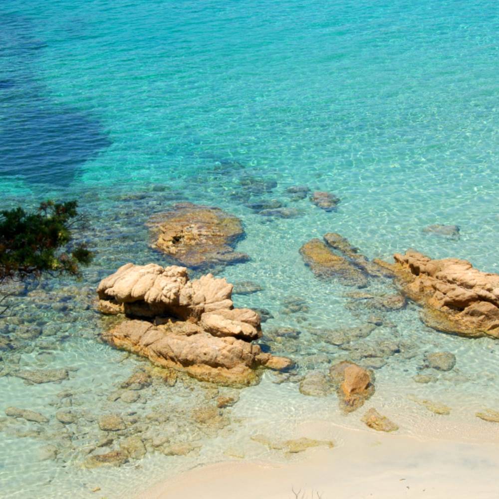 mobil-home-corse-golfe-valinco-plage-propriano-presta