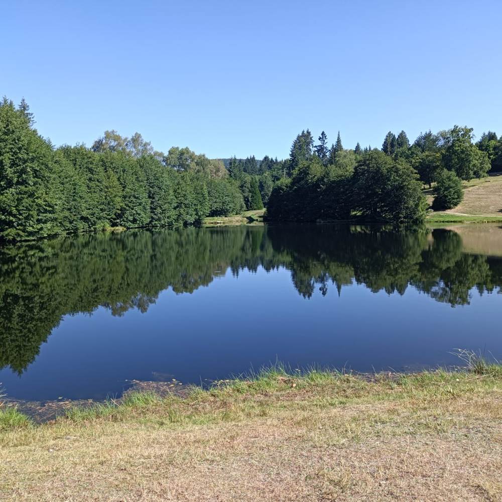 Etang-de-la-Garenne-Meymac-presta