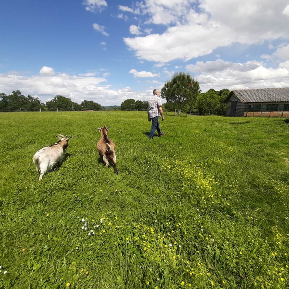 Mini Ferme L'Horizon des Landes Doazit