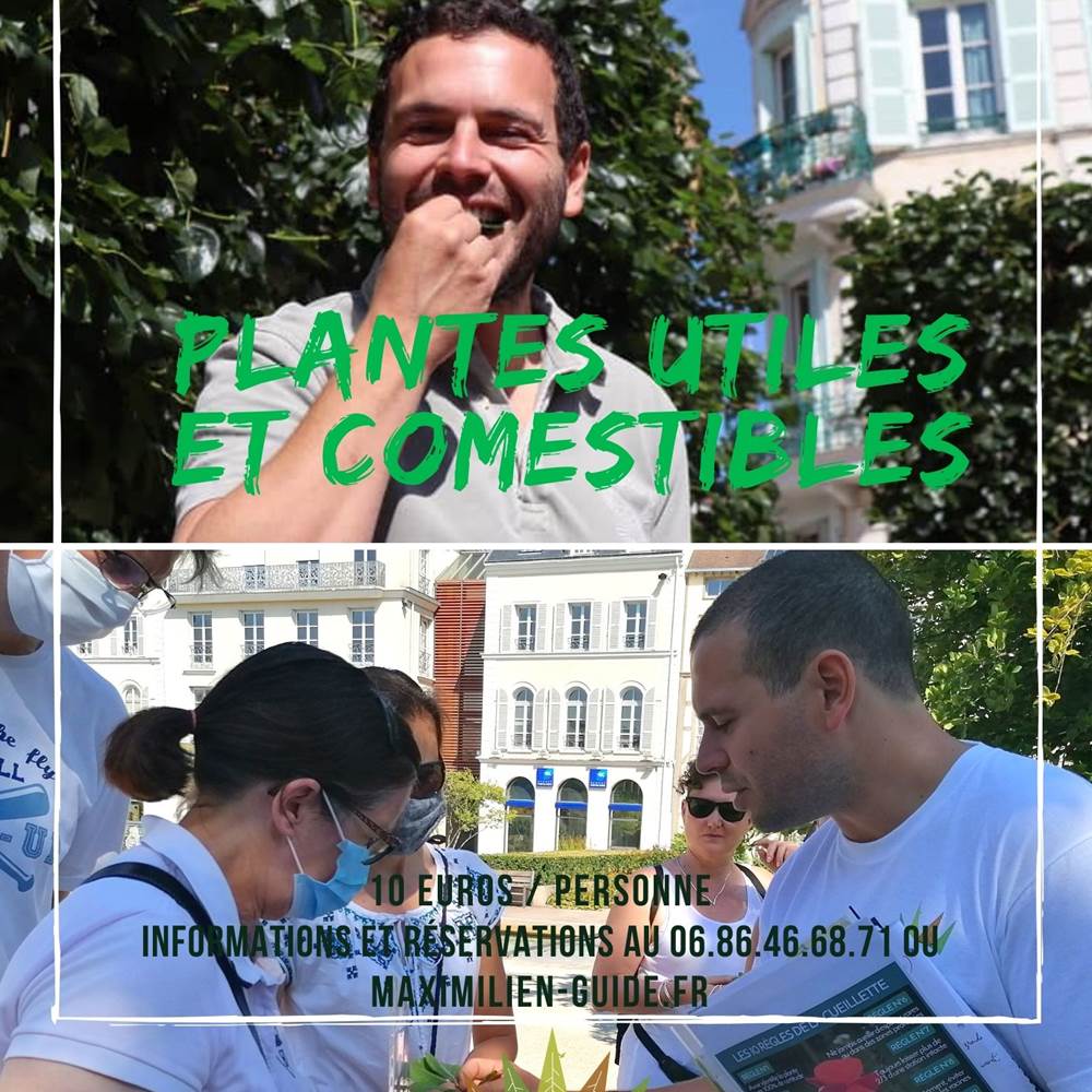 plantes comestibles-presta