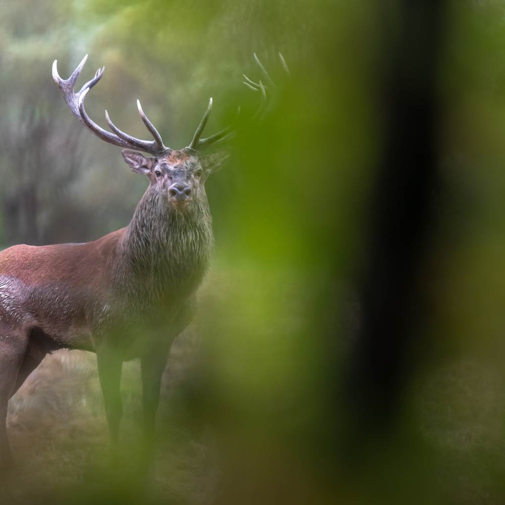 2019-09-23_01-01-16-presta