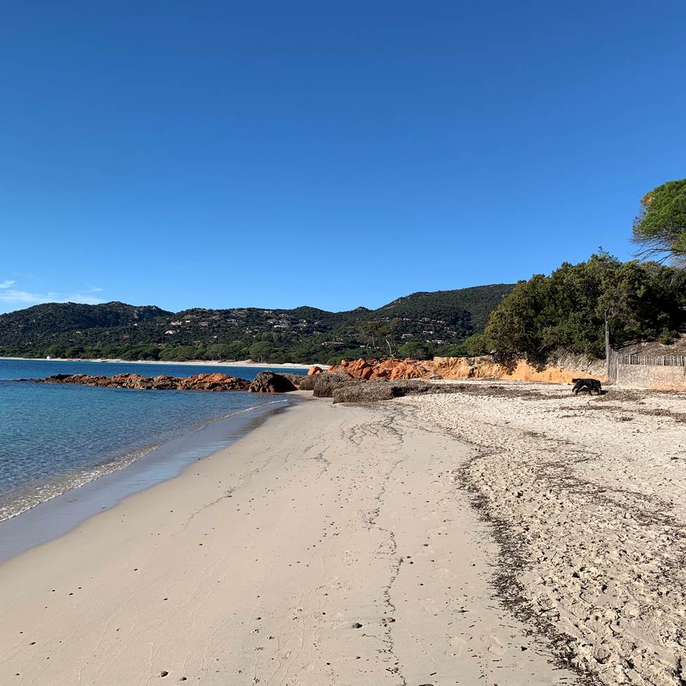 Palombaggia "mytique"-gallery