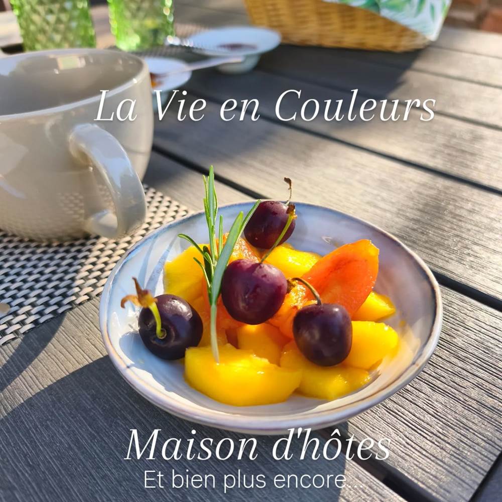 la vie en couleur