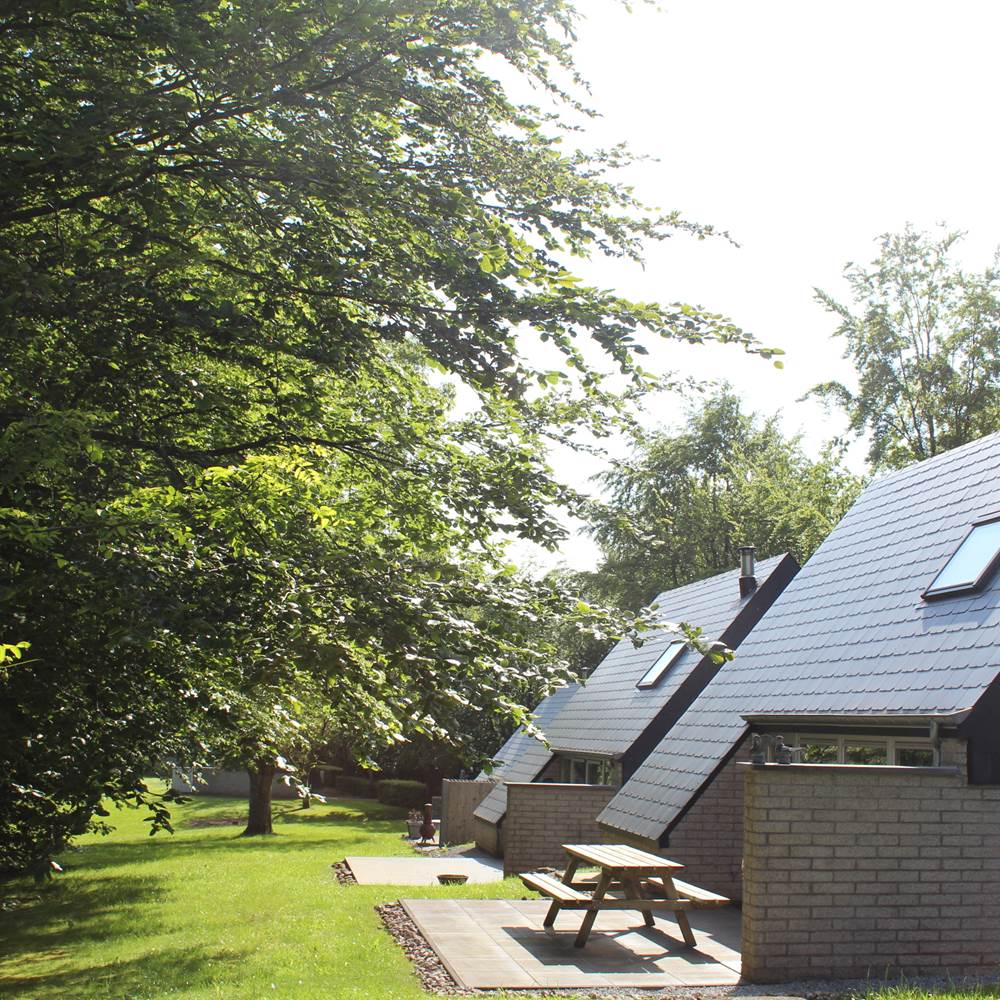 IMG_4127-special-offers