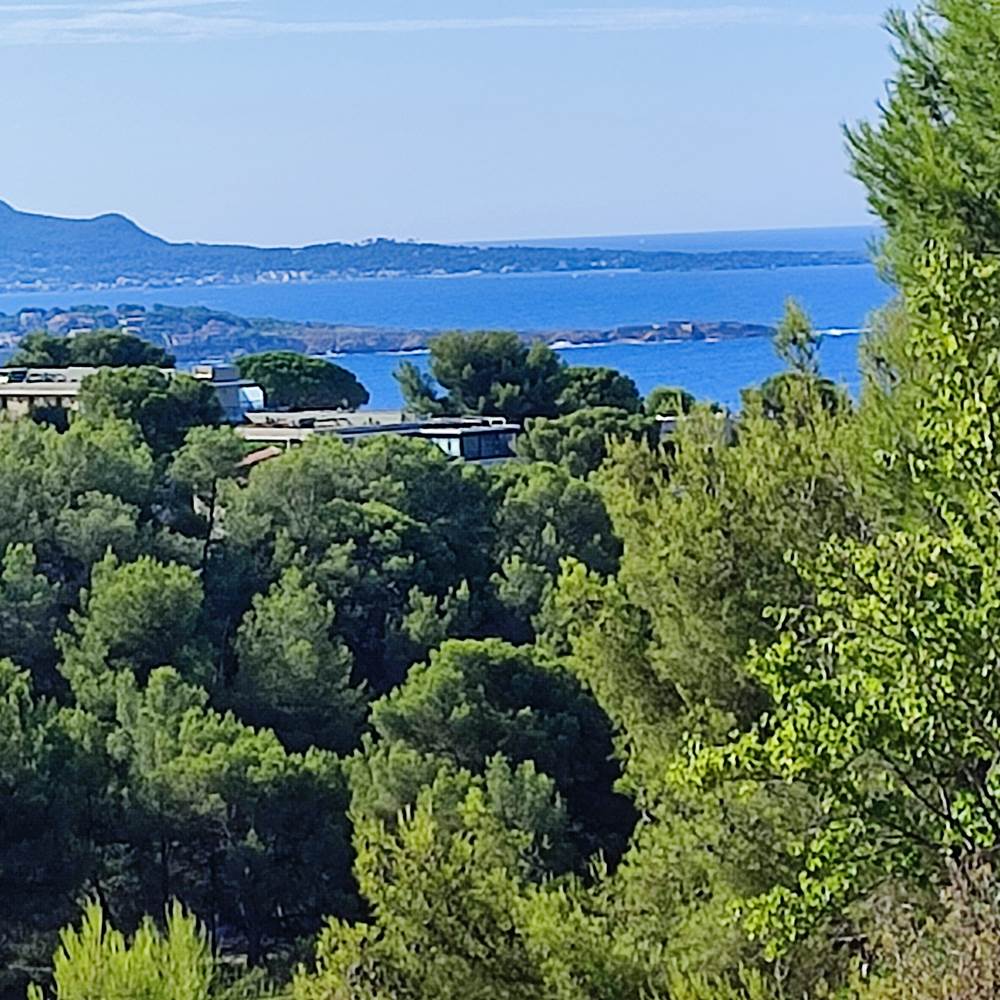 Vue mer-presta