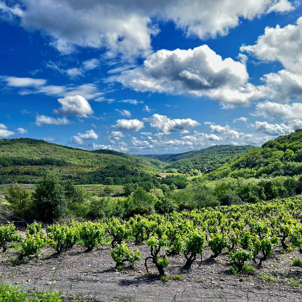 Gites Corbieres20-presta