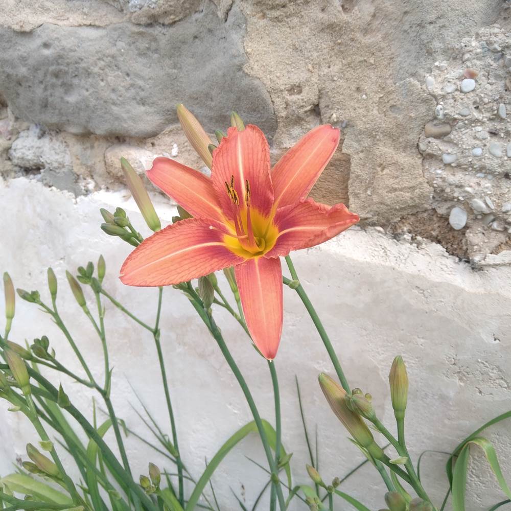 20240524_103339-presta