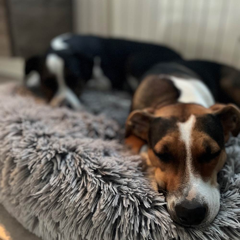 tempImageVzSUUk-gallery