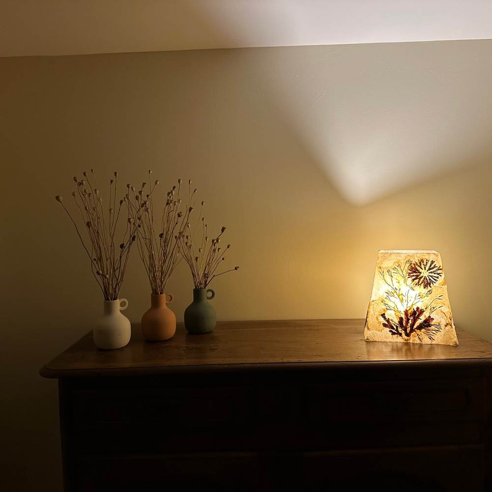 lampe_buffet_salon-gallery