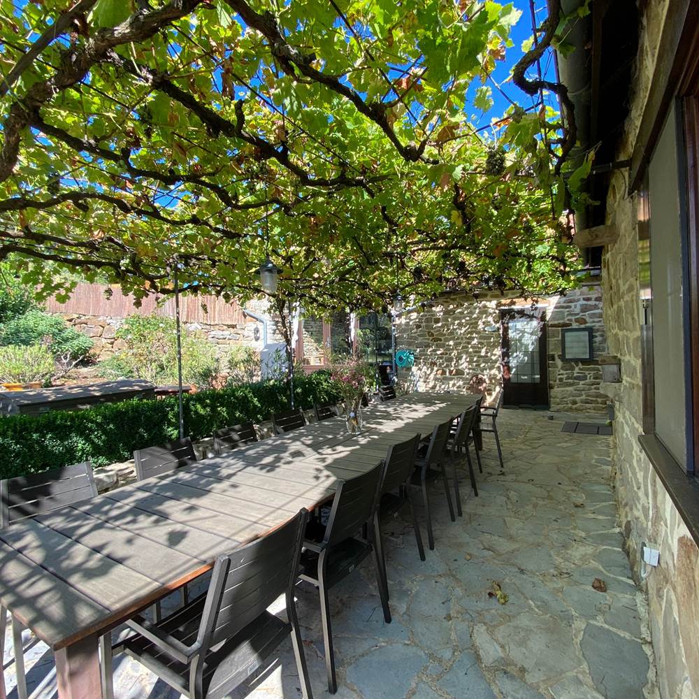 Terrasse sous les vignes-gallery