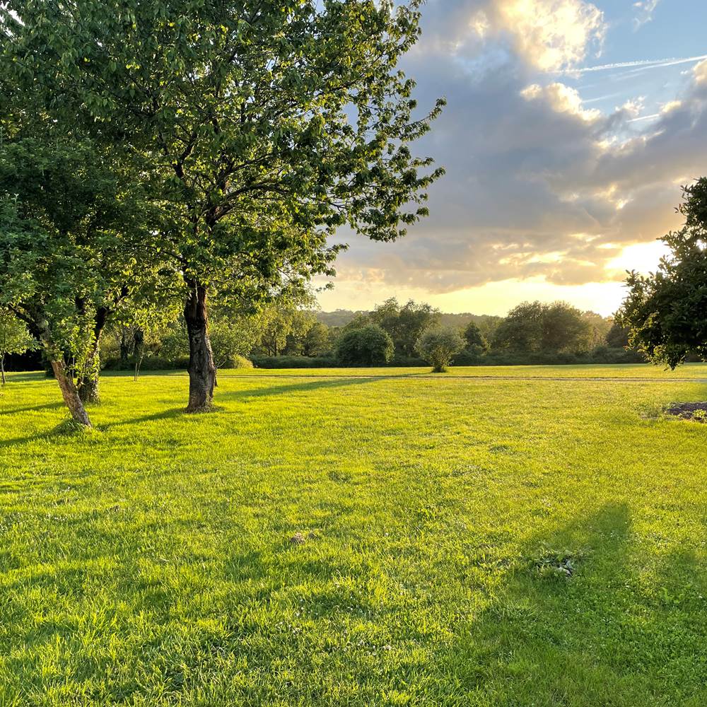 Grand parc arboré lumière du soir-gallery