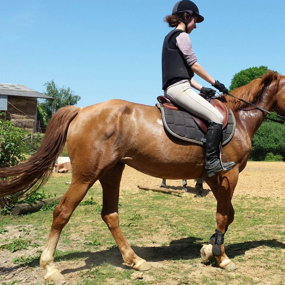 2014-06-07 17.26.48-presta