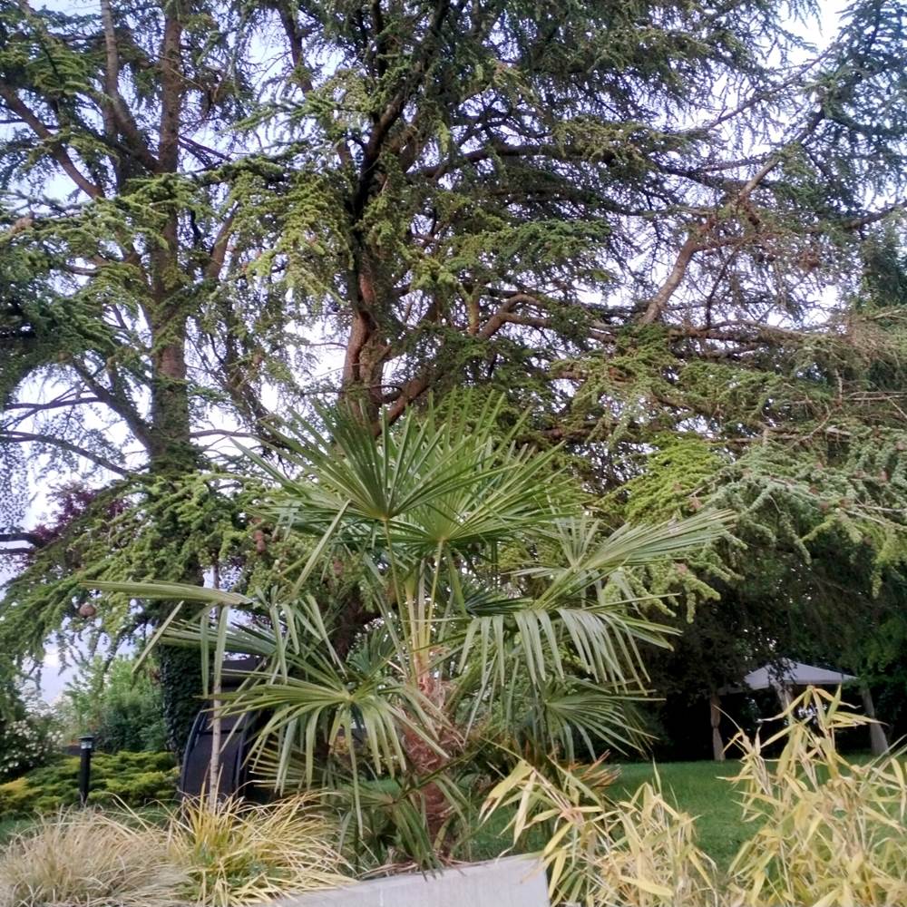 Autre vue sur le jardin-presta