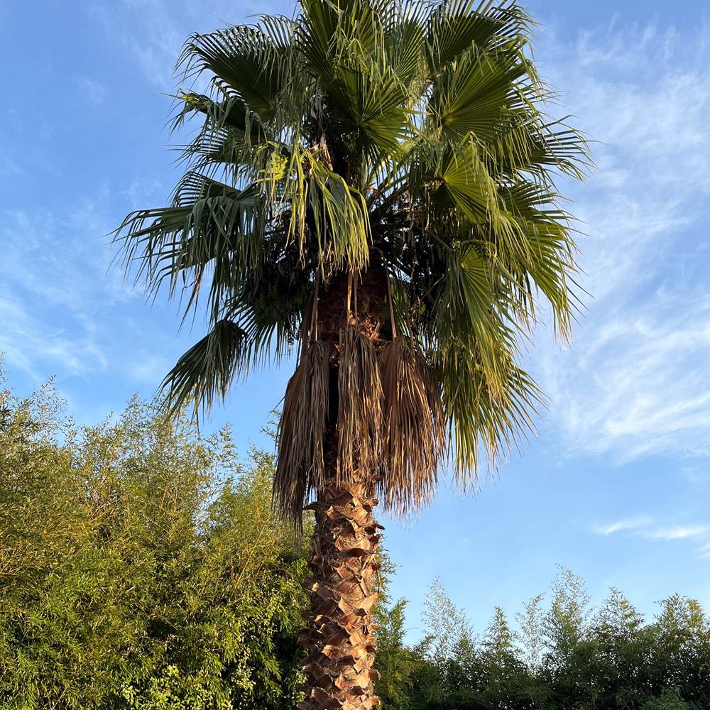 tempImage3tDfA6-gallery