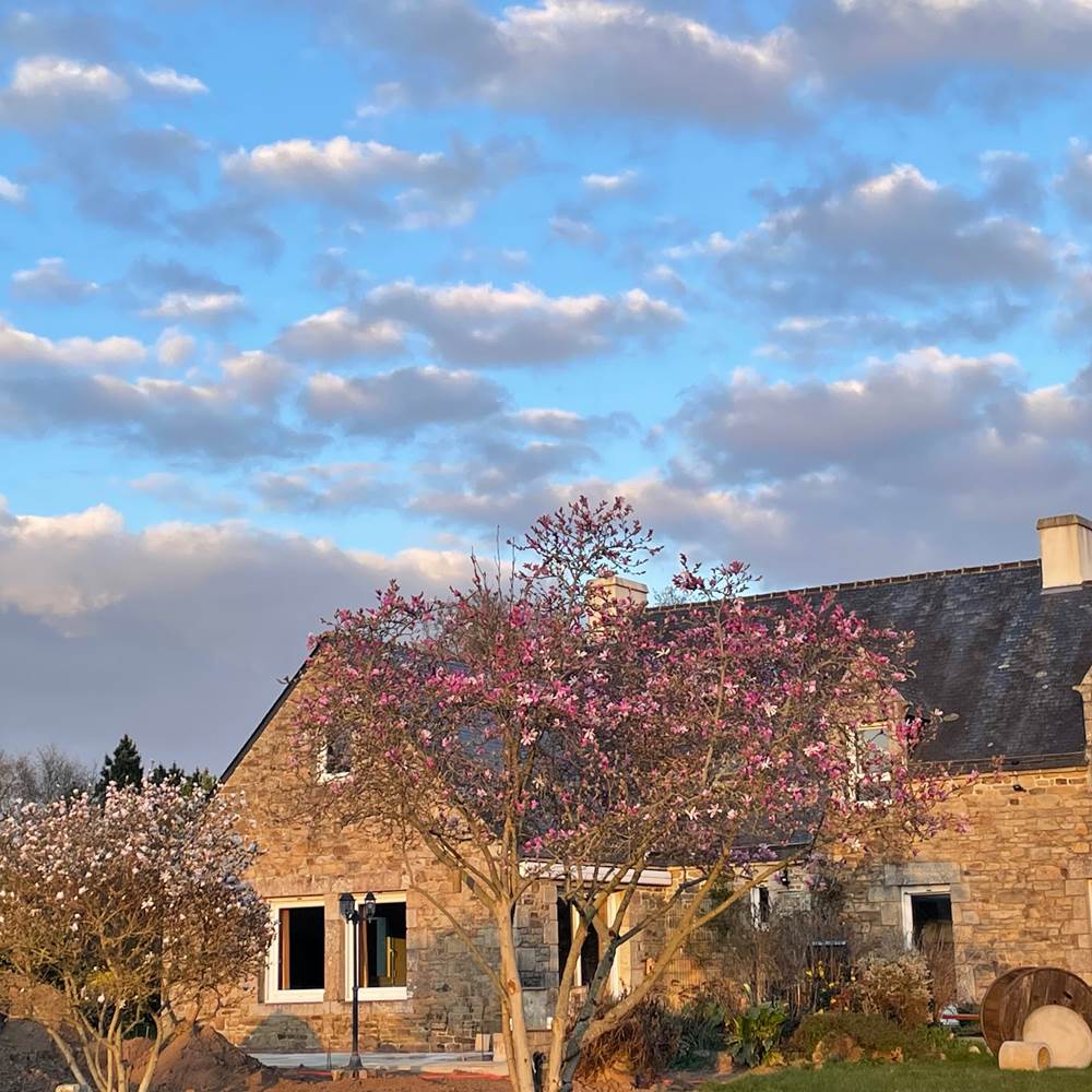Maison et arbres en fleurs mars 2025-gallery