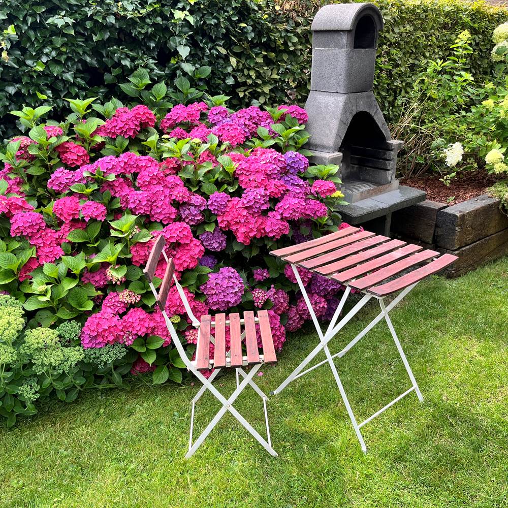 Jardin-gallery