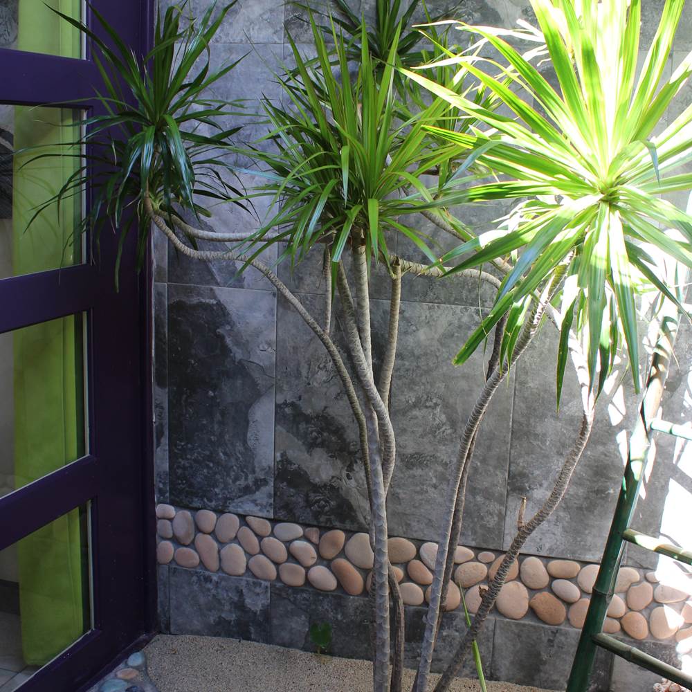 salle de bains-presta