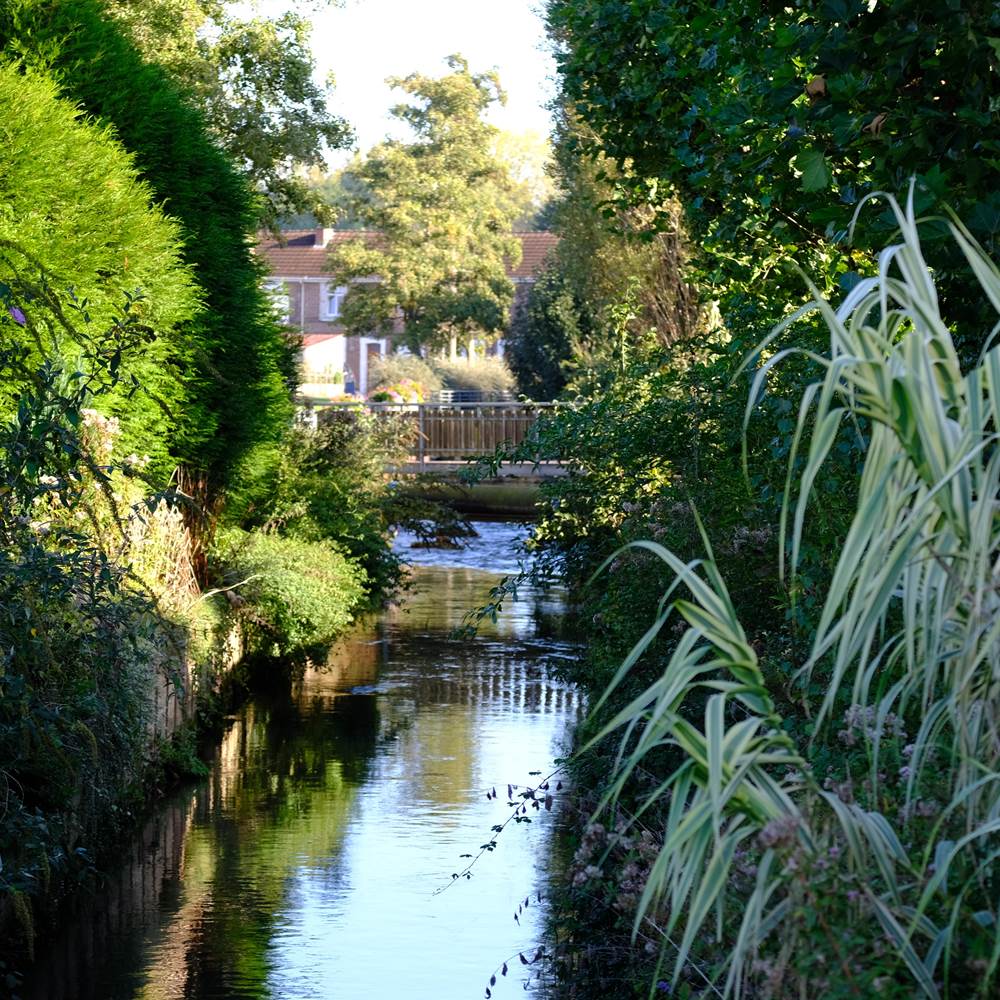La LAWE (Copy)-presta