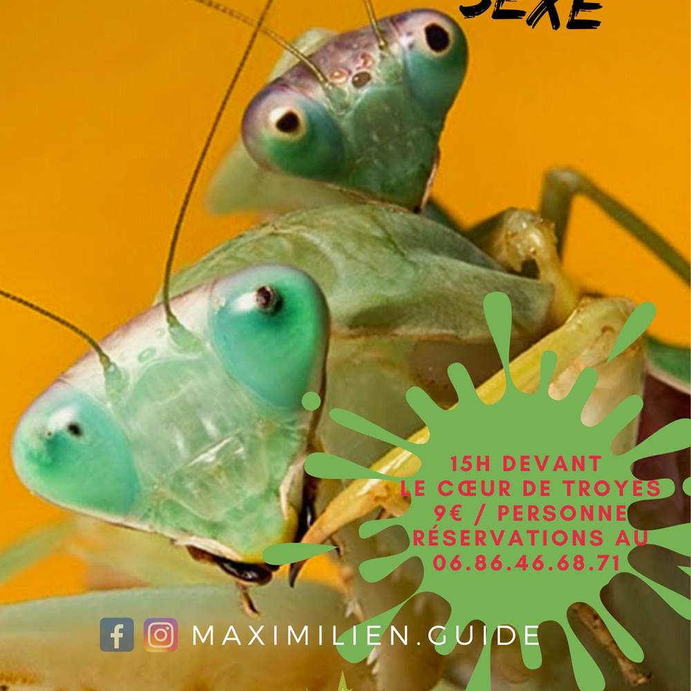 betes de sexe-presta