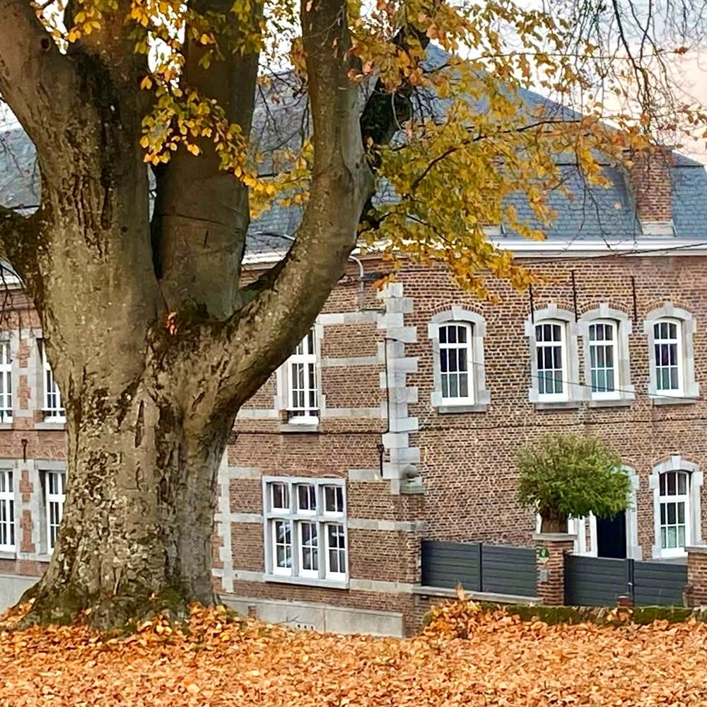 IMG_2881(modified)(0)-presta