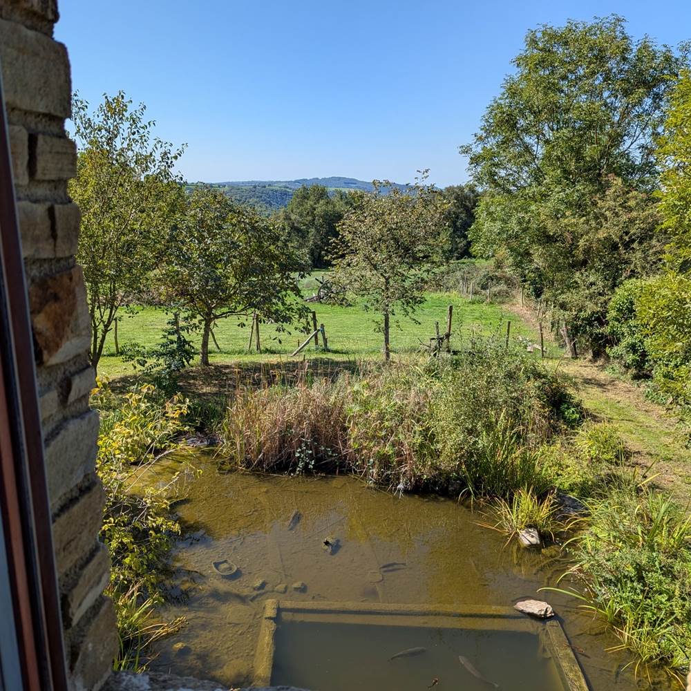 vue-nature-saisonnee-chambre-champetre-campagne-prairies-centres-aveyron.jpg-presta