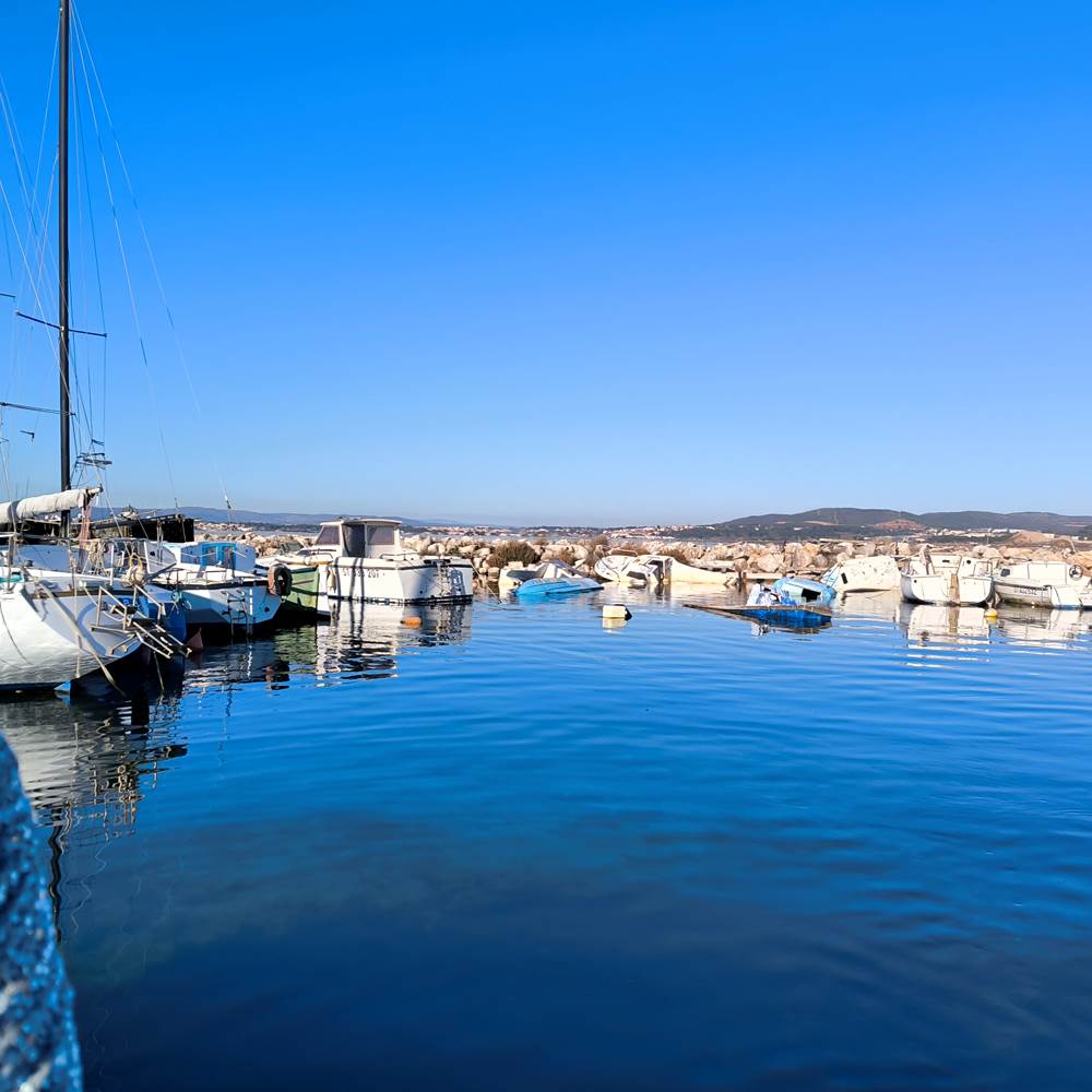 IMG_20250117_144548-presta