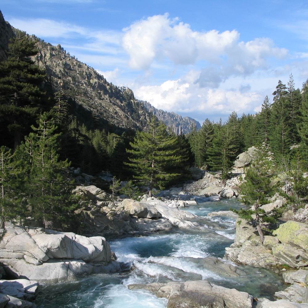 Rivière Restonica-presta