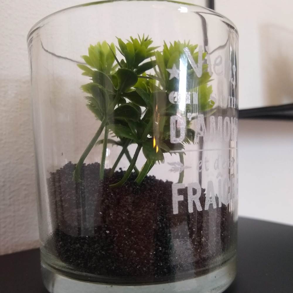 IMG_20200605_114850269-presta