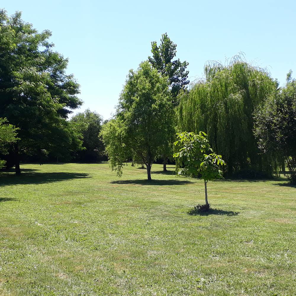 Vue du parc-gallery