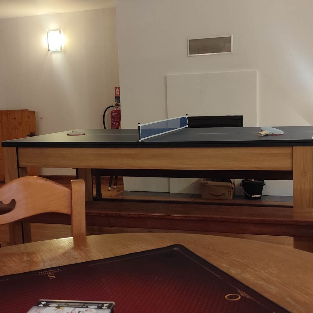 Billard version ping pong-gallery